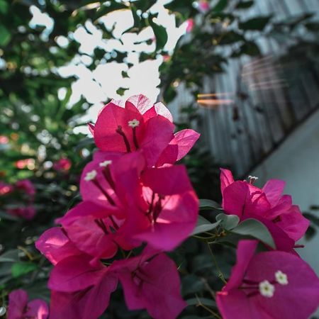 Oh Battambang Boutique Hotel Екстериор снимка
